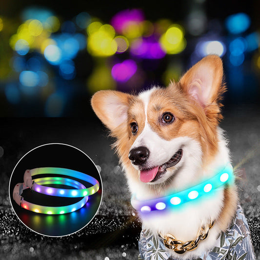 USB Rechargeable Pet Dog LED Glowing Collar